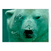 Polar Bear Under Water (Front Horizontal)