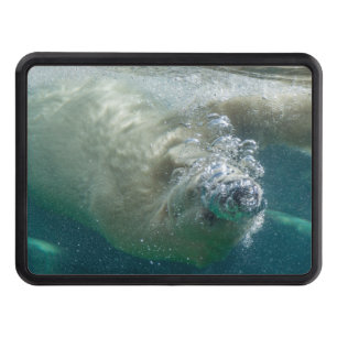 Polar bear underwater trailer hitch cover