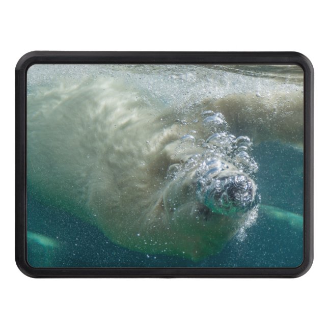 Polar bear underwater trailer hitch cover (Front)