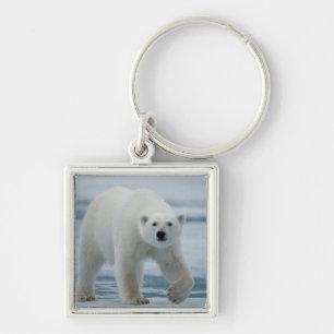 Polar Bear, Ursus Maritimus, Adult Keychain
