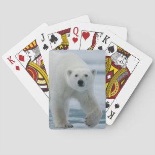 Polar Bear, Ursus Maritimus, Adult Poker Cards
