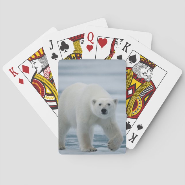 Polar Bear, Ursus Maritimus, Adult Poker Cards (Back)