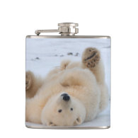 polar bear, Ursus maritimus, cub rolling 3 Flask