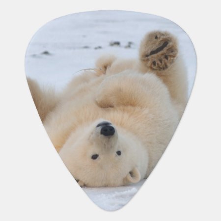 Polar Bear, Ursus Maritimus, Cub Rolling 3 Guitar Pick