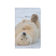 polar bear, Ursus maritimus, cub rolling 3 Journal