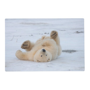 polar bear, Ursus maritimus, cub rolling 3 Placemat