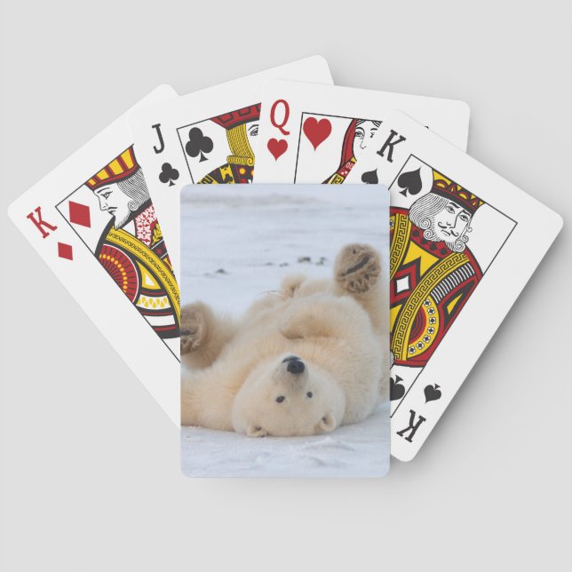 polar bear, Ursus maritimus, cub rolling 3 Poker Cards (Back)