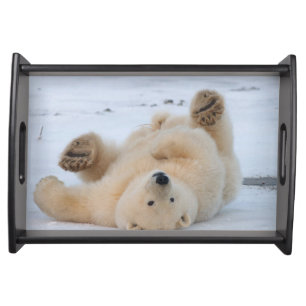 polar bear, Ursus maritimus, cub rolling 3 Serving Tray