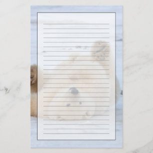 polar bear, Ursus maritimus, cub rolling 3 Stationery