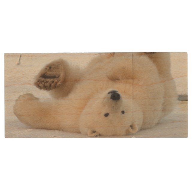 polar bear, Ursus maritimus, cub rolling 3 Wood USB Flash Drive (Front)