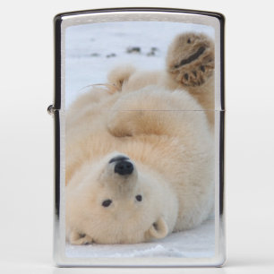 polar bear, Ursus maritimus, cub rolling 3 Zippo Lighter