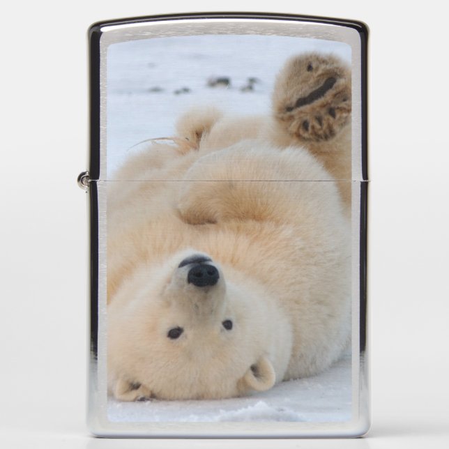 polar bear, Ursus maritimus, cub rolling 3 Zippo Lighter (Front)
