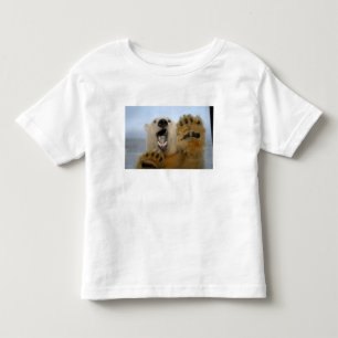 polar bear, Ursus maritimus, curiously looks Toddler T-shirt