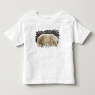 Polar Bear Ursus maritimus) in Churchill Toddler T-shirt