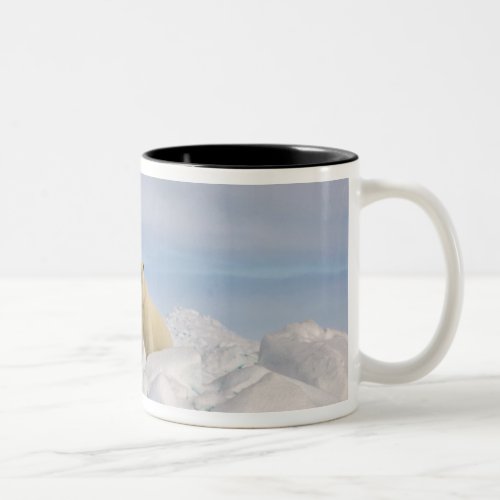 polar bear Ursus maritimus in rough ice on Two_Tone Coffee Mug