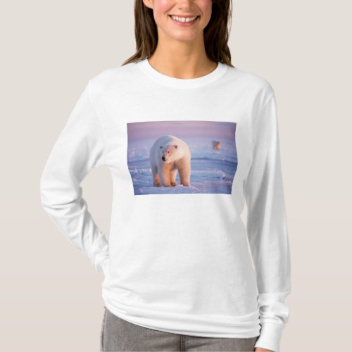 polar bear Ursus maritimus large boar on the T_Shirt