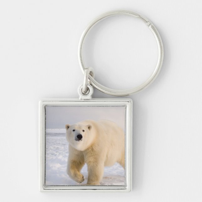 polar bear, Ursus maritimus, on ice and snow, 2 Keychain (Front)