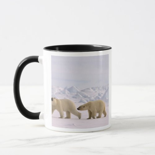 polar bear Ursus maritimus pair in rough ice Mug