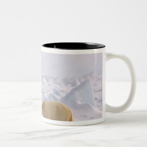 polar bear Ursus maritimus pair in rough ice Two_Tone Coffee Mug