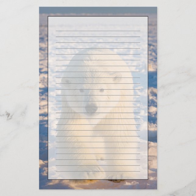 polar bear, Ursus maritimus, polar bear on ice Stationery (Front)