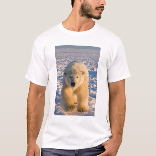 polar bear Ursus maritimus polar bear on ice T_Shirt