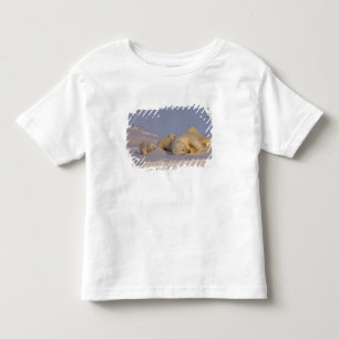 polar bear, Ursus maritimus, sow playing Toddler T-shirt