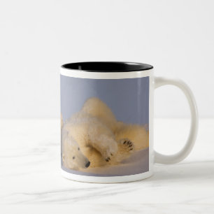 polar bear, Ursus maritimus, sow playing Two-Tone Coffee Mug