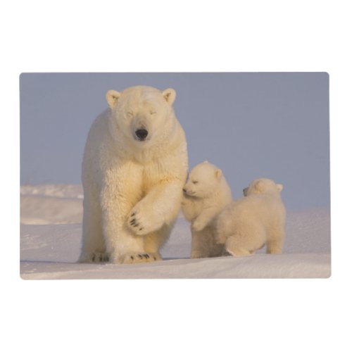 polar bear Ursus maritimus sow with newborn 3 Placemat
