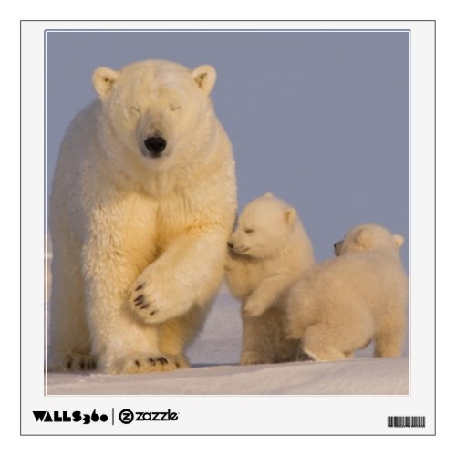 polar bear Ursus maritimus sow with newborn 3 Wall Decal
