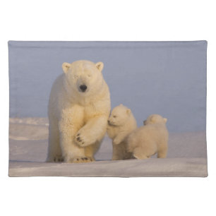 polar bear, Ursus maritimus, sow with newborn Placemat