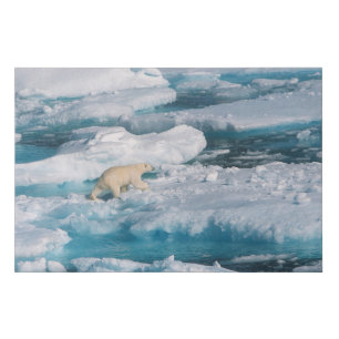 Polar Bear walking on the Sea Faux Canvas Print