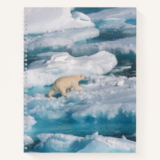 Polar Bear walking on the Sea Notebook