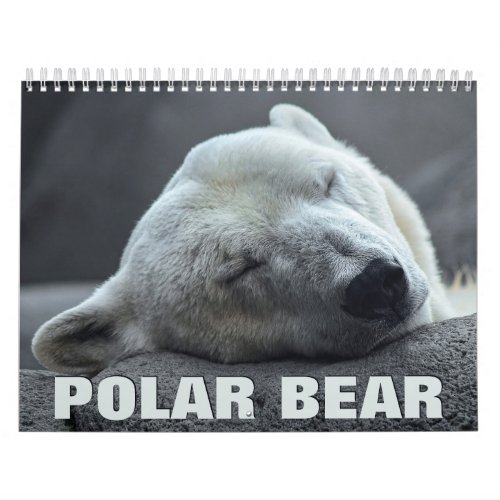 Polar Bear Wall Calendar