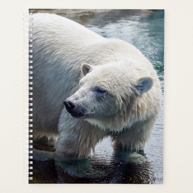 Polar Bear Weekly/Monthly Planner (Front)