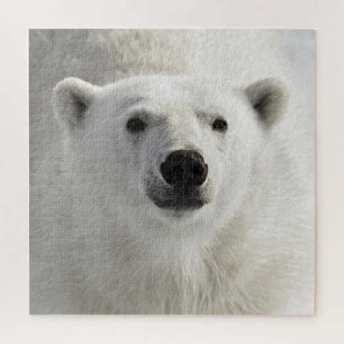 Polar Bear Wild Animal Artic Winter Jigsaw Puzzle