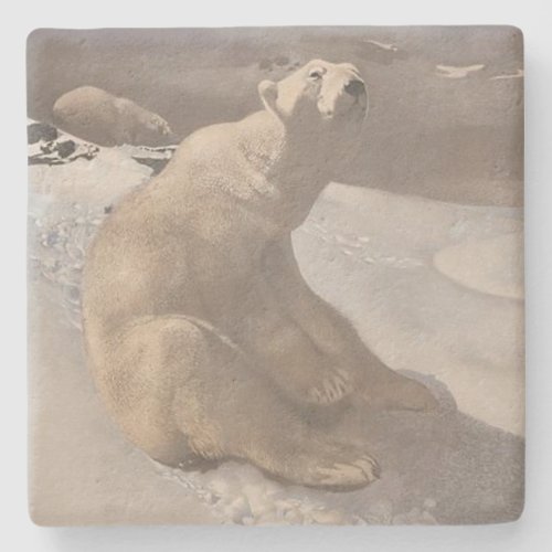 Polar bear winter snow vintage illustration gray  stone coaster