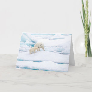 Polar bear with cub holiday card