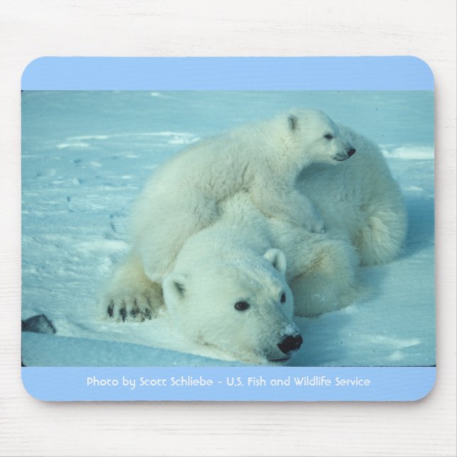 Polar bear with cub mouse pad (Front)