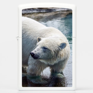 Polar Bear Zippo Lighter