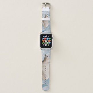 Polar Bear: Zoo Habitat Glimpse Apple Watch Band