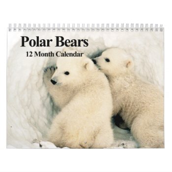 Polar Bears - 12 Month Calendar by pjwuebker at Zazzle