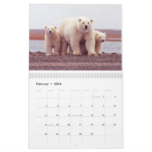 Polar Bears - 12 Month Calendar | Zazzle