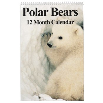 Polar Bears - 12 Month Calendar by pjwuebker at Zazzle