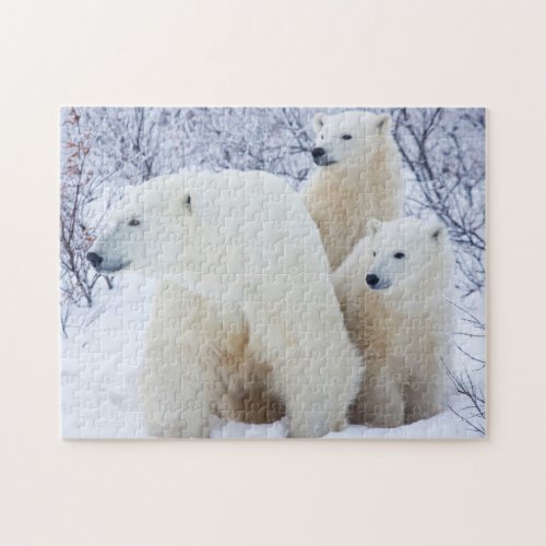 Polar Bears and Two cubs Jigsaw Puzzle