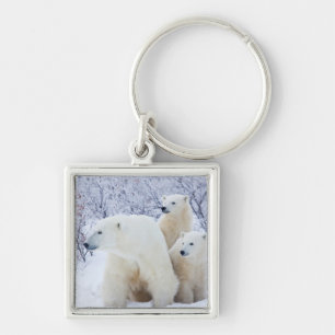 Polar Bears and Two cubs Keychain