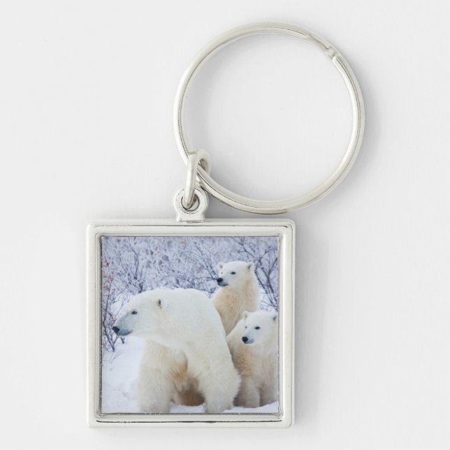 Polar Bears and Two cubs Keychain (Front)