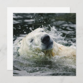 Polar Bear's Aqua Aura (Front/Back)