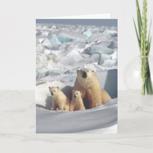 Polar Bears Arctic Wildlife Blank Greeting Card