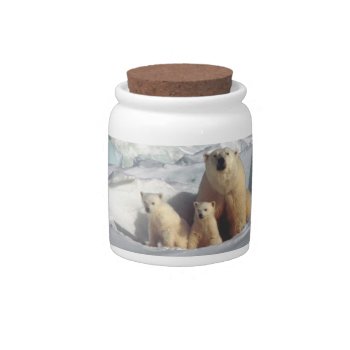 Polar Bears Arctic Wildlife Candy Jar by RosellaDesigns at Zazzle