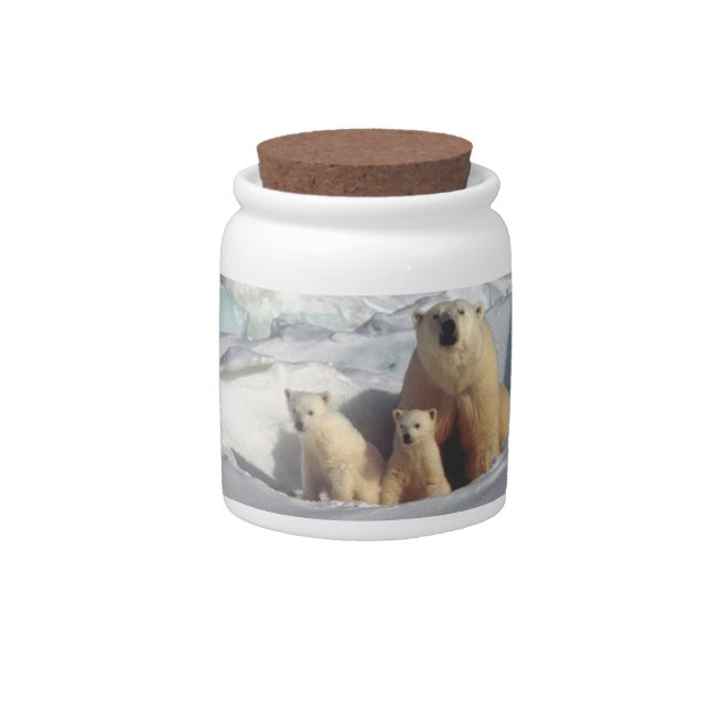 Polar Bears Arctic Wildlife Candy Jar (Front)